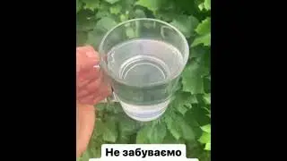 Вода та питний режим при стресі #shorts #здоровимбутивигідно
