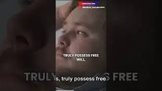 free will in AI