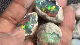 Absolutely Gorgeous Ethiopian Black Rough Opal 🔥🔥❤❤