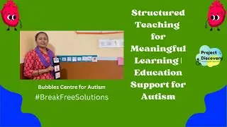 Structured Teaching for Meaningful Learning | Education Support for Autism | BreakFreeSolution