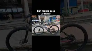 Yang nyari gambaran 27.5x2.10 maxxis pace #shortstory #banmaxxis #bansepeda