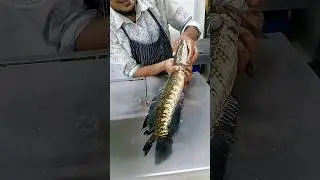 super giant unique River live a shoal family cutting skills video super shop #youtubeshorts #shorts