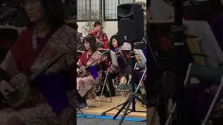 Okinawa SANSHIN Musical Instrument 2 - 3 February 2019