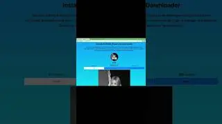 Instagram Profile Viewer und Downloader - storiesdown.io