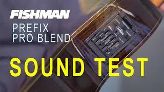 Fishman Prefix Pro Blend - SOUND TEST (C&oacute;rdoba GK Pro Negra) + Looping
