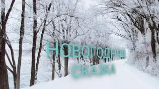 Прямая трансляция Stop Fanera