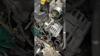 Ford transit ecoblue wet belt. Easy job. #automobile #carpart #diesel #van#hgv