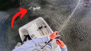 This TINY LAKE was LOADED with Fish (Topwater Blowups)