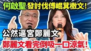 何啟聖發討伐傅崐萁檄文，公然逼宮鄭麗文，鄭麗文看完倒吸一口涼氣！#鄭麗文