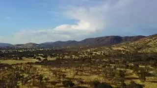 DJI 0017