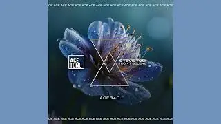 Steve Tosi - I Don't Believe (Original Mix)