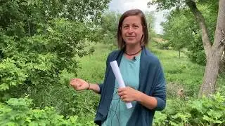 Edible Weeds at Prairie Ally Food Forest in Luverne, MN