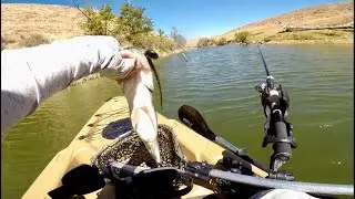 Fishing Los Banos Creek Reservoir Bass Fishing