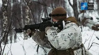 Exercise Cold Response 22 tests NATO Allies and partners