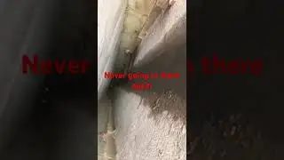 Scary #scary #sewer #shorts