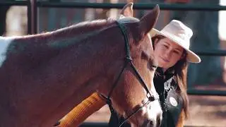 Equine Therapy at The Last Resort