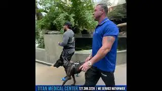 Service Dog Sasha goes to the Tampa Aquarium!