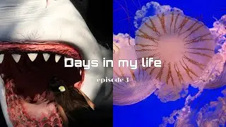vlog ❀ | houston zoo & museum of natural science