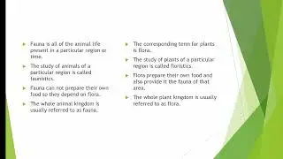 what is flora and fauna?