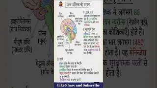 मानव मस्तिष्क की संरचना 🧠 | Brain Parts Explained #shorts