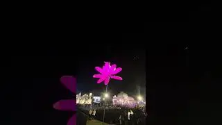 Foreign Artist #viral #explorepage #wedding #weddingdress #ytshorts