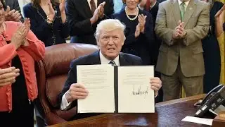 A political expert explains why it&rsquo;s ridiculous to judge a president's first 100 days