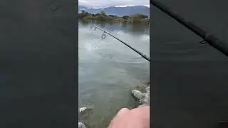 Trout and about 🙇🏻&zwj;♂️ #fishing #tightlines #bassfishing #bassmasteropens #fish #bass #troutfishing