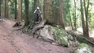 Wye Valley - Rollable Drop