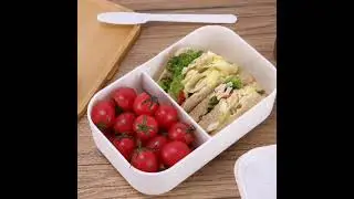 Eco-Friendly Lunch box