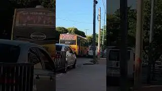 CONIFERAL  nuobo bus citta piso alto