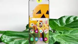 Samsung Galaxy S20 : How to enable or disable screen flash notification (Android 10)