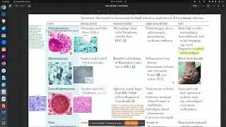 Системные грибы (упрощенно): гисто-, бласто-, кокки-, паракокки | USMLE High-Yield