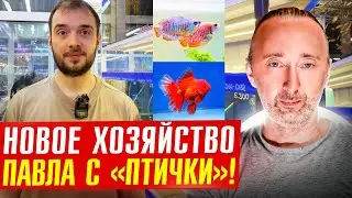 Новый аквариумный магазин Павла в 25 тонн воды на Садоводе!