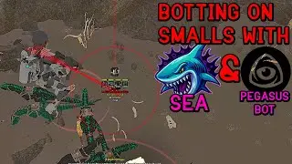 ASA | BOTTING ON SMALLS with SEA feat. PEGASUS BOT