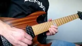 Preternatural Cage of Conjuring 2015 ( Jaden Rose Bare Knuckle Painkiller pickups ) metal