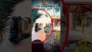 20 Mtrs Sig Sauer 1911 Emperador Scorpion m&aacute;s en canal #r&eacute;plicas