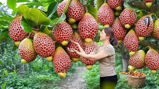 Harvesting Rainforest Berries, Ancient Wine Making Recipe Revealed | Natural Flavors