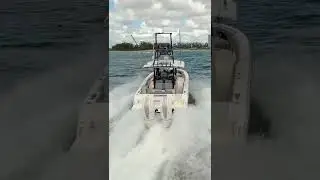 boston whaler 360#luxurylifestyle #yachtlife #yachtworld #superyacht #short #yachting #boatsdaily