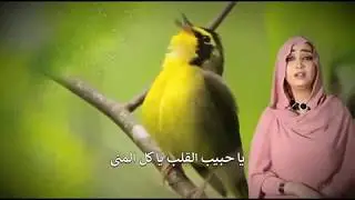 اوبريت المحبة الالهية
