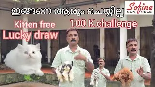 ഇങ്ങനെ ആരും ചെയ്യില്ല.       Kitten Lucky draw              Shitzhu. Husky. Poodil puppies 