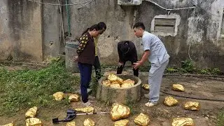 Từ Một Giấc Mơ Kỳ Lạ Lưu Hậu Giúp Bà Cô Phát Hiện Ra Bảo Vật Dưới Giếng Hoang | Giải Mã Giấc Mơ