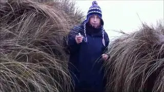 Hayle Beach