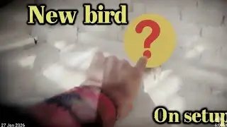 Finally! Hamare Setup Par Aaya Naya Bird 😍 | Surprise Reveal!​