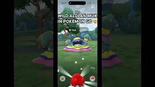 WILD RARE ALOLAN MUK IN POKEMON GO 🤯 #shorts #pokemongo #rare #muk #alolaregion