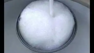 Maggots in the Rice Cooker