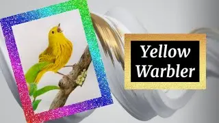 American Yellow 💛 Warbler Bird || Bird Drawing || Yellow Bird #shorts #drawing