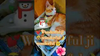 #trending #viral #cat #cats #cute #cutebaby#shots #vlog #viralshorts #ytshorts  #shortsviral #reels