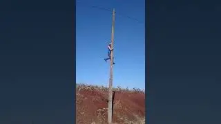 Era gente boa esse !!!