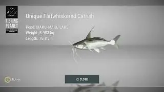 How to catch Unique Flatwhiskered Catfish at Maku-Maku Lake