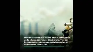 Biodiversity's Cancer Healing Secrets | Sbarro Health Research Organization  #cancer #environment